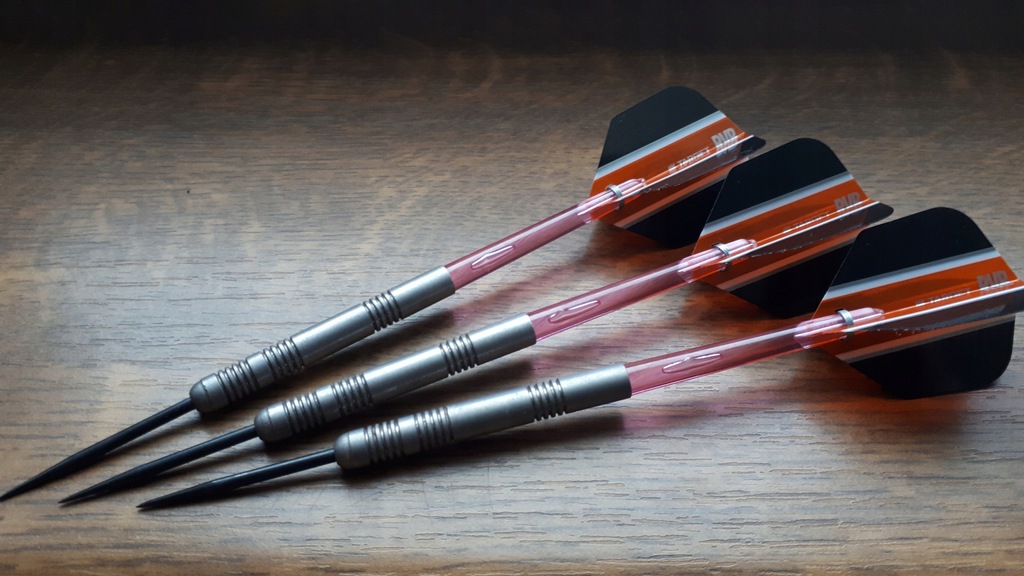 DART LOTKI TARGET RAYMOND VAN BARNEVELD 22G 90%