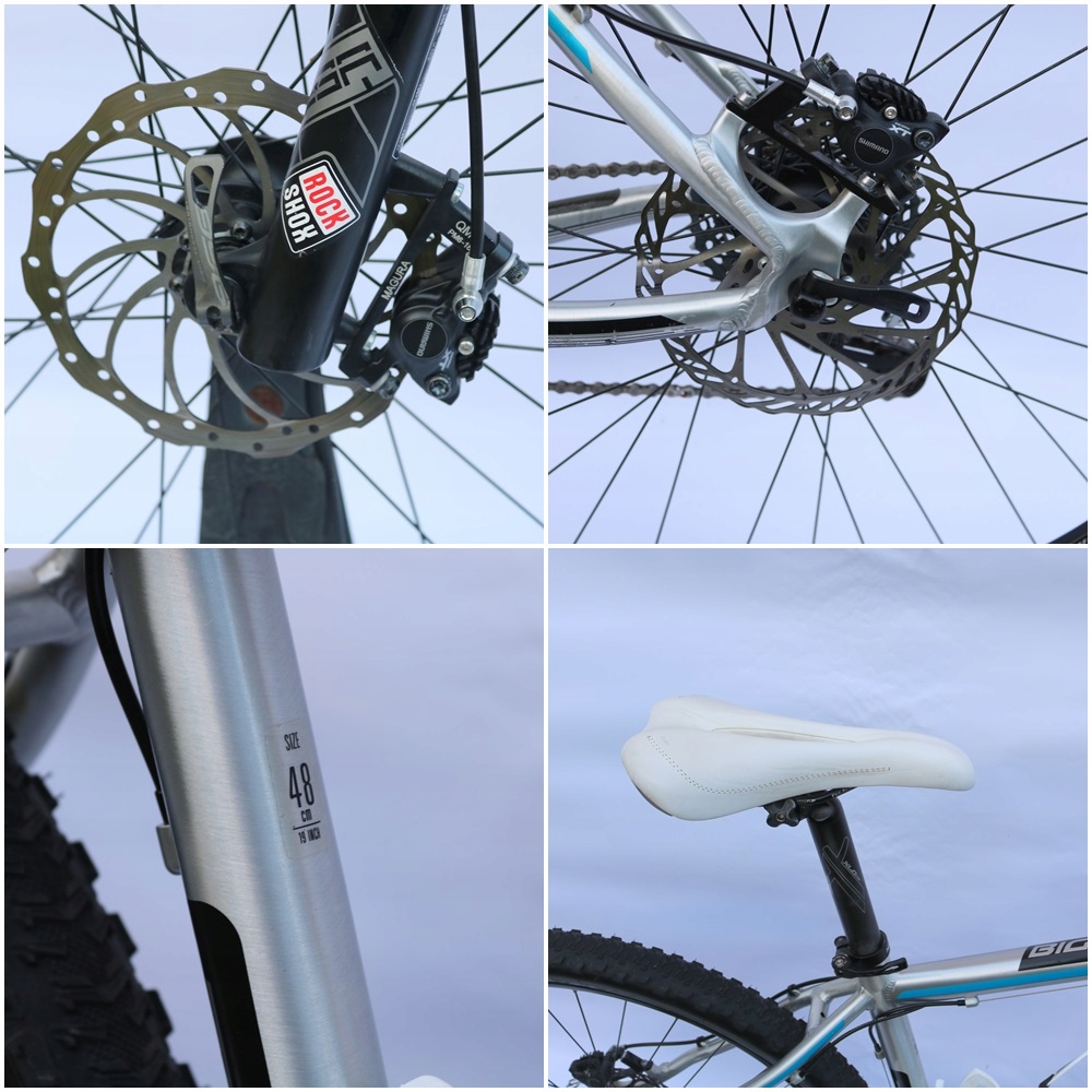 haibike big curve rc 29