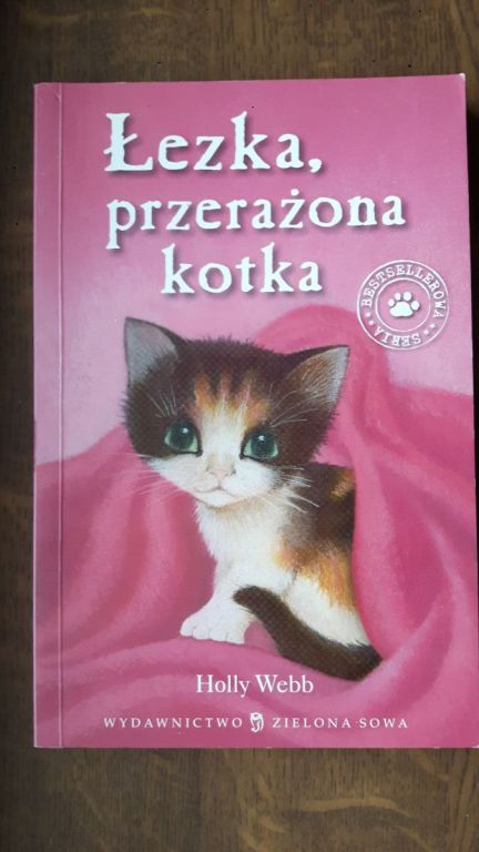 Książka Łezka, przerażona kotka - Holly Webb BDB