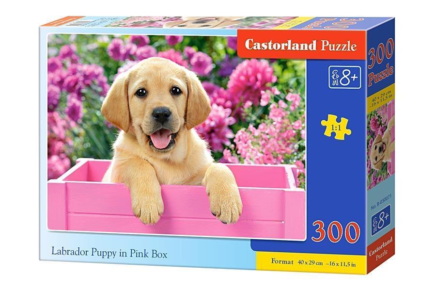 PUZZLE 300 SCZENIĘ LABRADOR W RÓŻOWYM PUDLE CASTOR