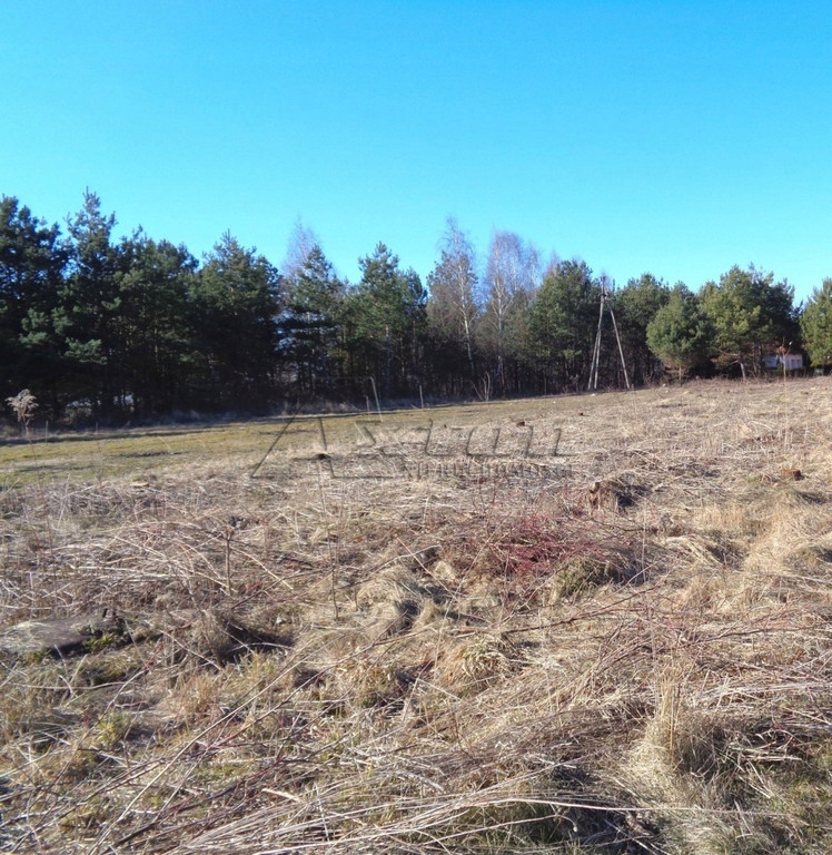 Działka, Kikoły, Pomiechówek (gm.), 3000 m²