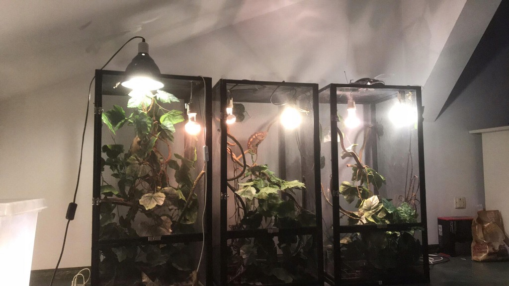 Terrarium Exo Terra 45x45x90 Kameleon 8246326490 Oficjalne Archiwum Allegro