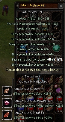 tryton+9 5b 2xlud top pvp okazja Polska metin2