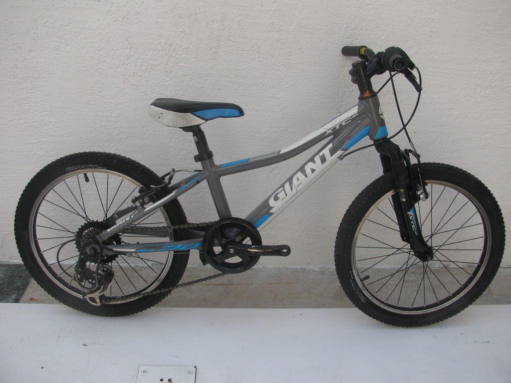 giant xtc jr 20