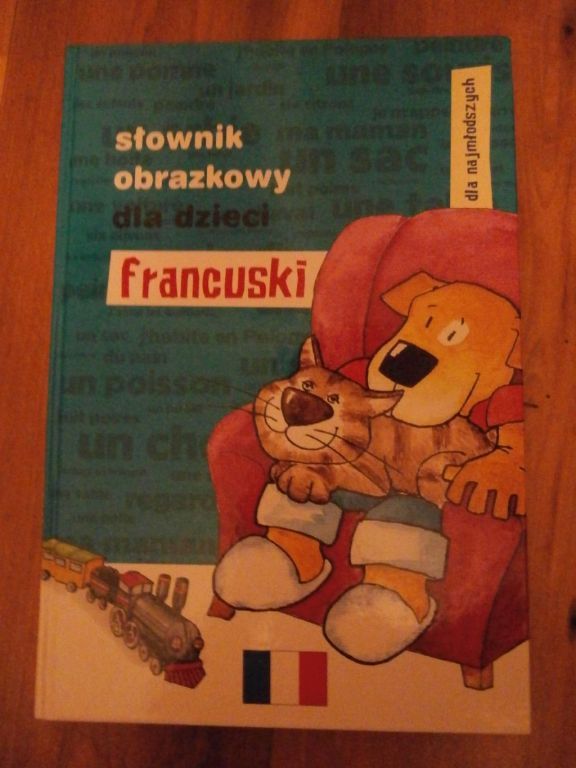 SŁOWNIK OBRAZKOWY DLA DZIECI FRANCUSKI