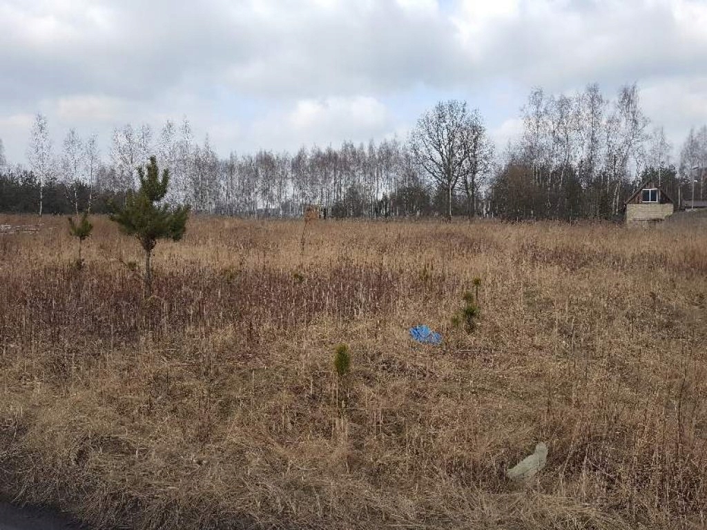 Działka, Kośmidry, Pawonków (gm.), 1200 m²
