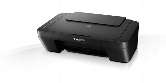 Купить Сканер-принтер 3 в 1 + чернила | Canon PIXMA MG2550S: отзывы, фото, характеристики в интерне-магазине Aredi.ru