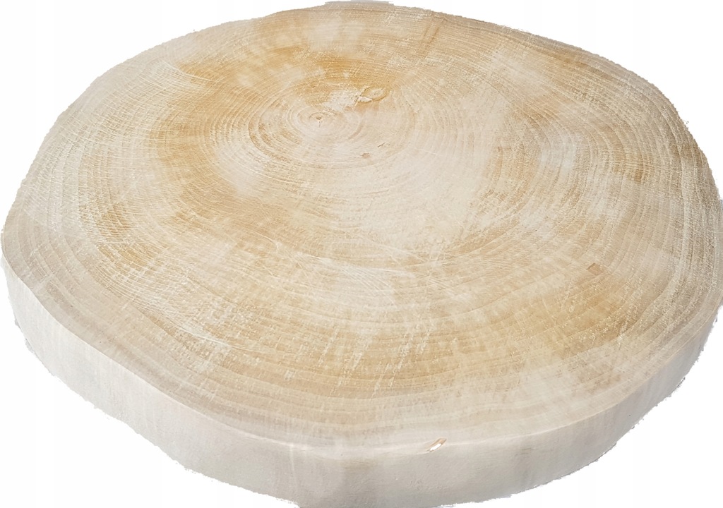 plastry drewna drewniane GRUSZA szlifowane 26-29cm
