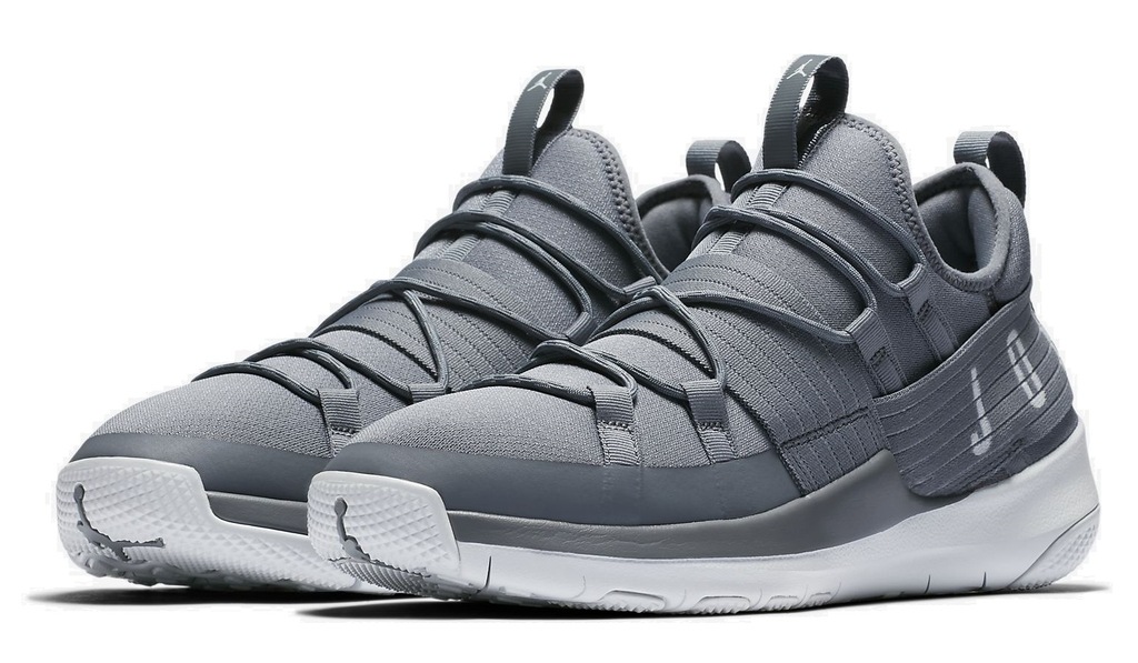 jordan trainers pro