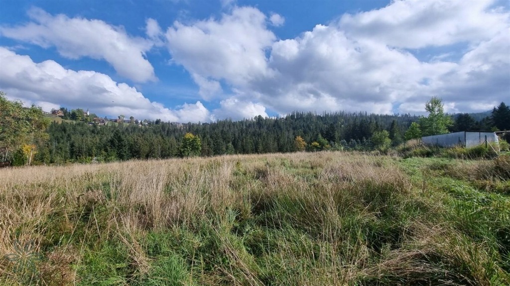 Działka, Zakopane, Tatrzański (pow.), 640 m²