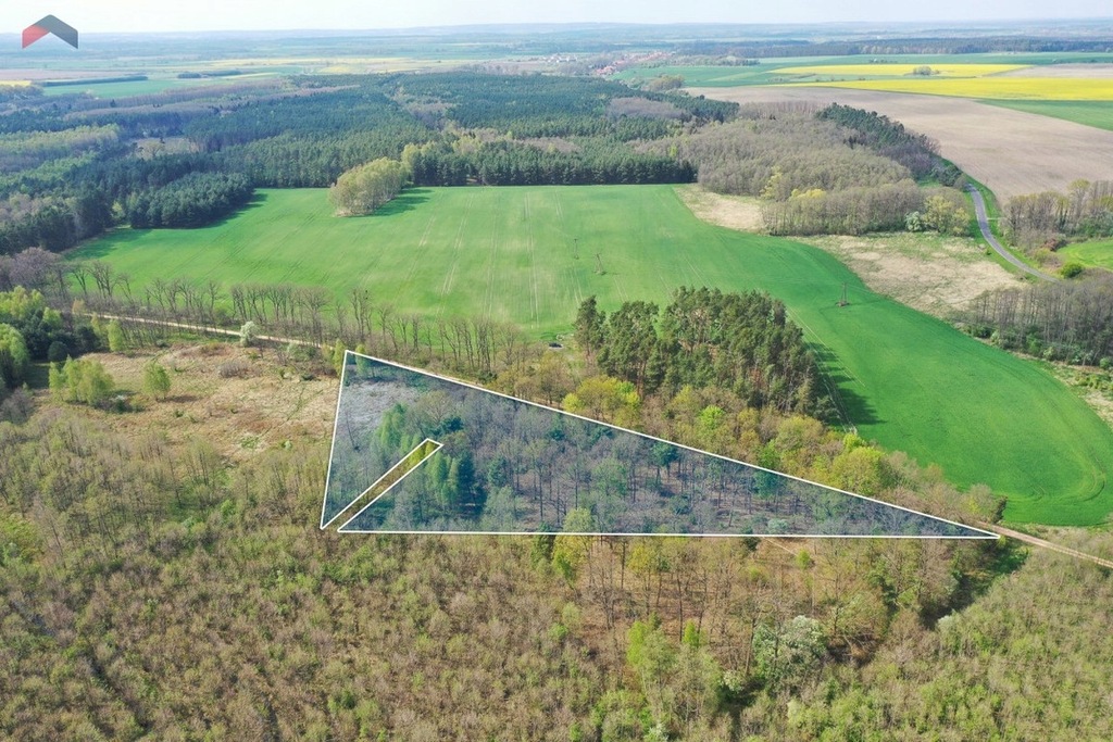 Działka, Konary, Wińsko (gm.), 15100 m²