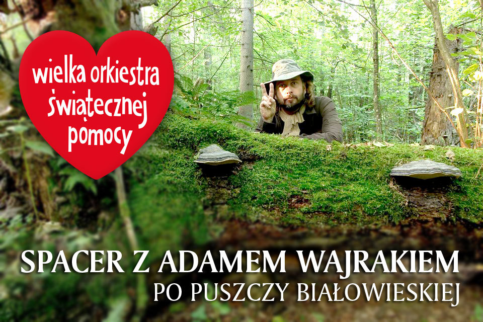 Spacer po Puszczy Białowieskiej z Adamem Wajrakiem