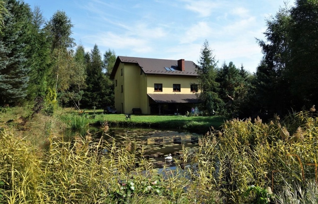 Dom, Ludwikowice Kłodzkie, Nowa Ruda (gm.), 450 m²