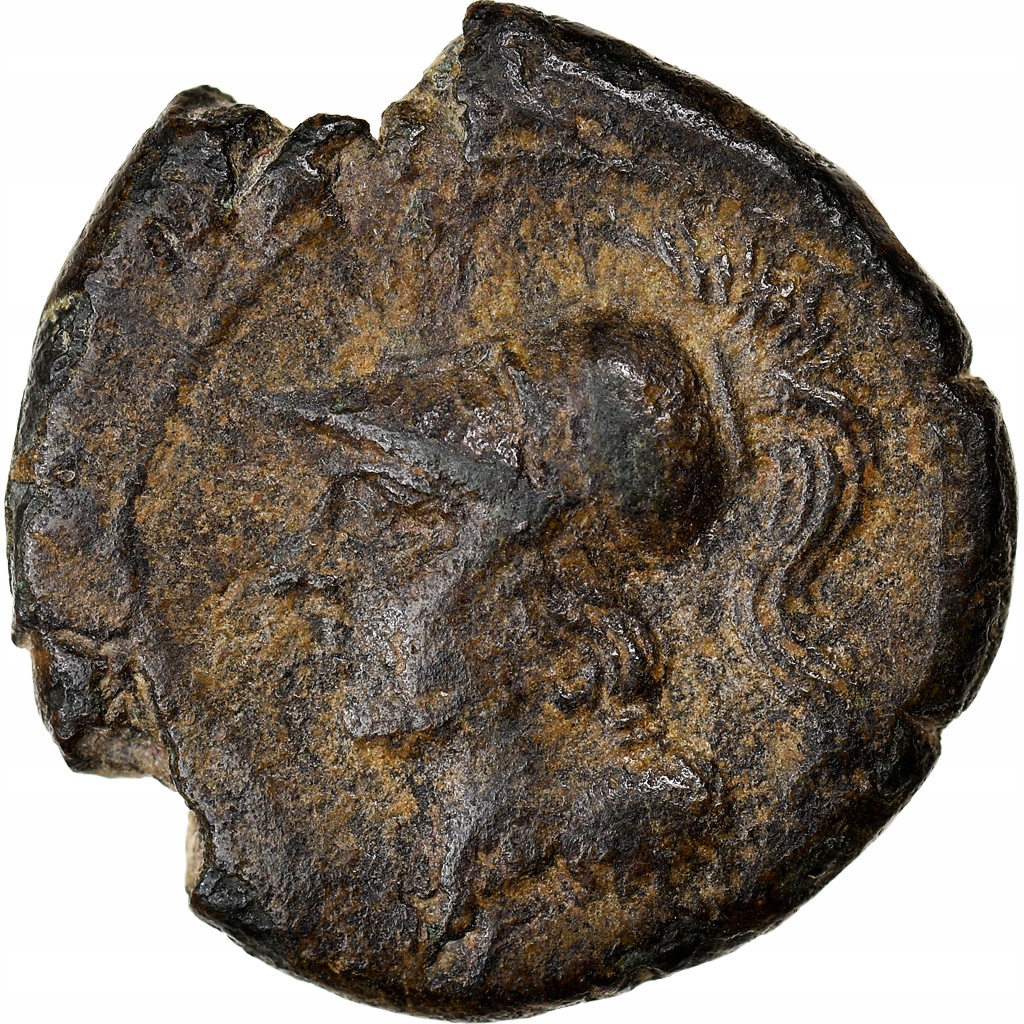 Moneta, Campania, Suessa Aurunca, Bronze Æ, 265-24