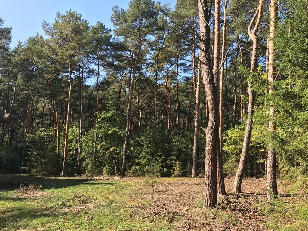Dom, Piaseczno, Piaseczno (gm.), 150 m²
