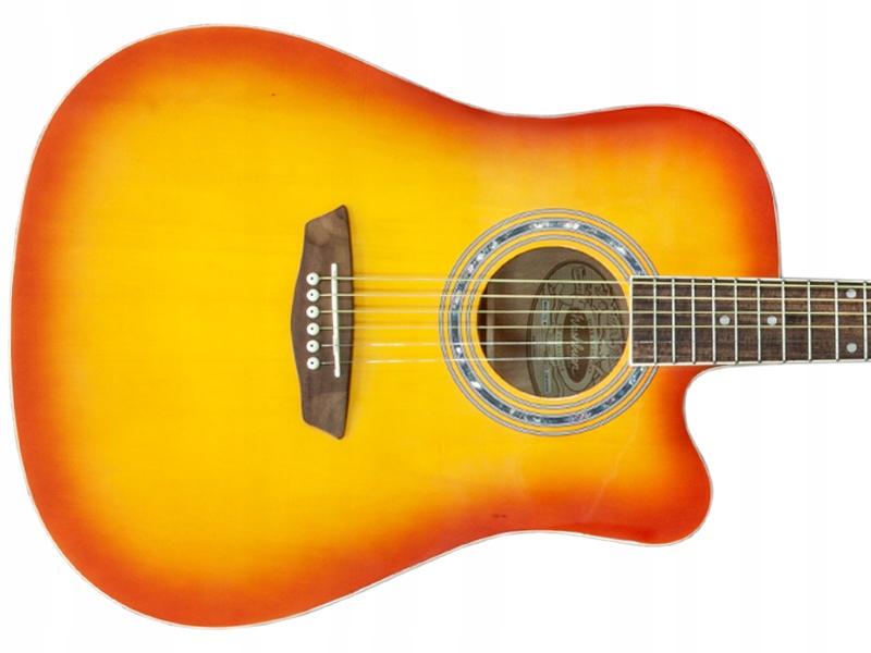 Gitara akustyczna WASHBURN WA90C (TS)