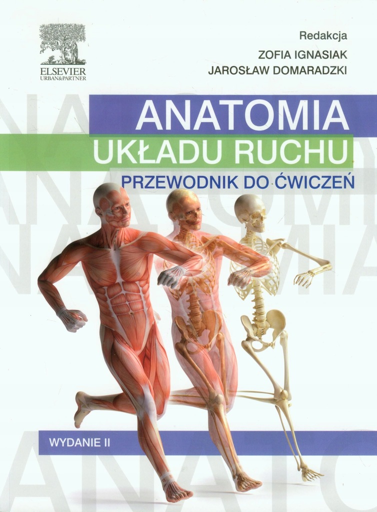 Mięśnie Stanowią Bierną Część Układu Ruchu Anatomia układu ruchu. Przewodnik do ćwiczeń - 7967987609 - oficjalne
