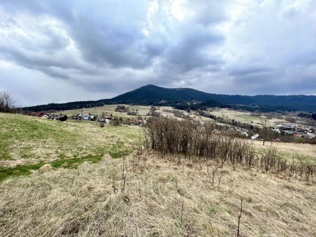 Działka, Tenczyn, Lubień (gm.), 2894 m²