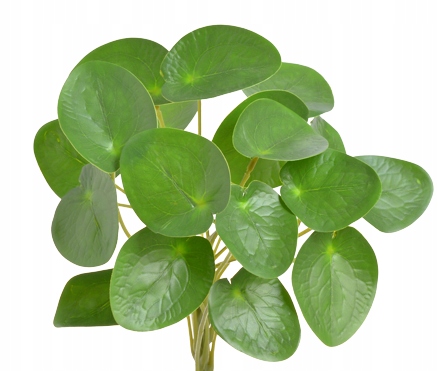 GAŁĄZKA OZDOBNA ROŚLINA SZTUCZNA PIENIĄŻEK PILEA