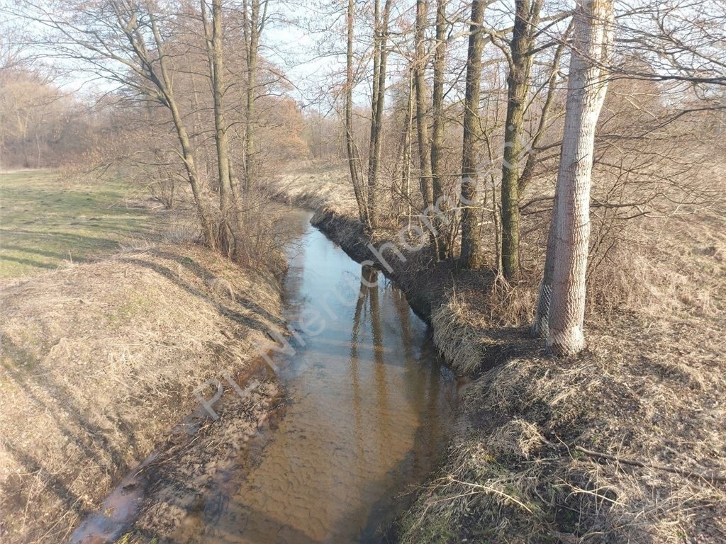 Działka, RudaPniewnik, Dobre (gm.), 4920 m² 10555544108 oficjalne