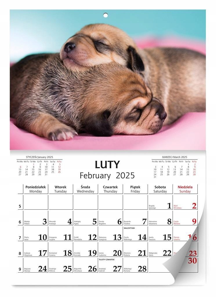 KALENDARZ 2025 ŚCIENNY LUX SZCZENIAKI