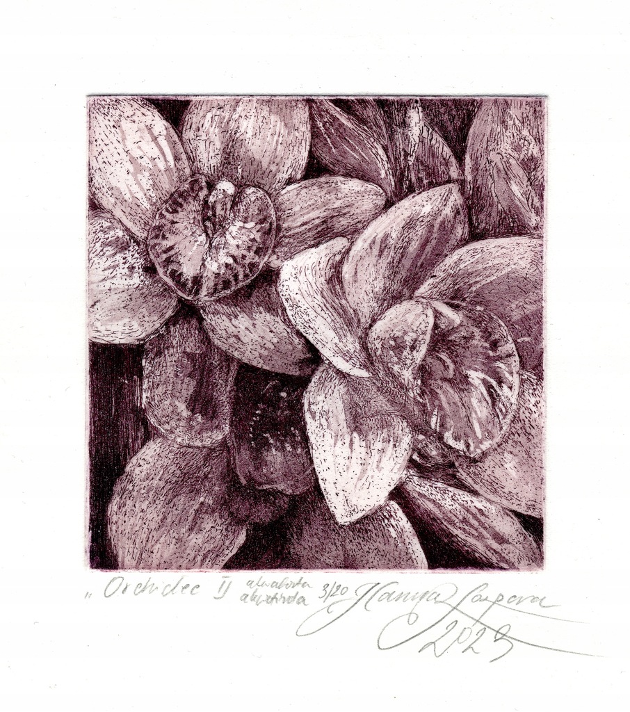 "Orchidee II" akwaforta, akwatinta, 19 x 15 cm