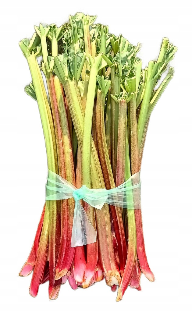 RABARBAR ŚWIEŻY RZEWIEŃ 5KG