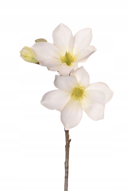 Купить Ветка МАГНОЛИИ искусственный цветок БЕЛЫЙ/ЗЕЛЕНЫЙ: отзывы, фото ...