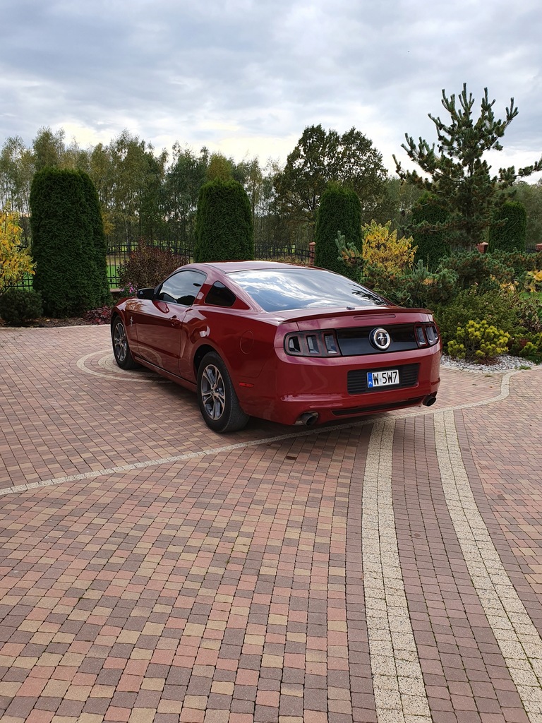 Купить Ford Mustang 3.7 V6 Coupe Премиум версия: отзывы, фото, характеристики в интерне-магазине Aredi.ru