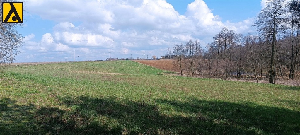 Działka, Lubień Kujawski, 5000 m²