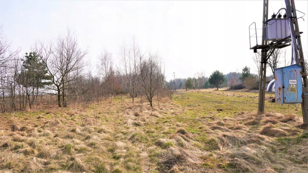 Działka, Ostrów, Olszówka (gm.), 15900 m²