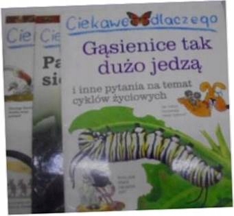 Ciekawe dlaczego Gąsienice tak dużo jedzą. Pająki