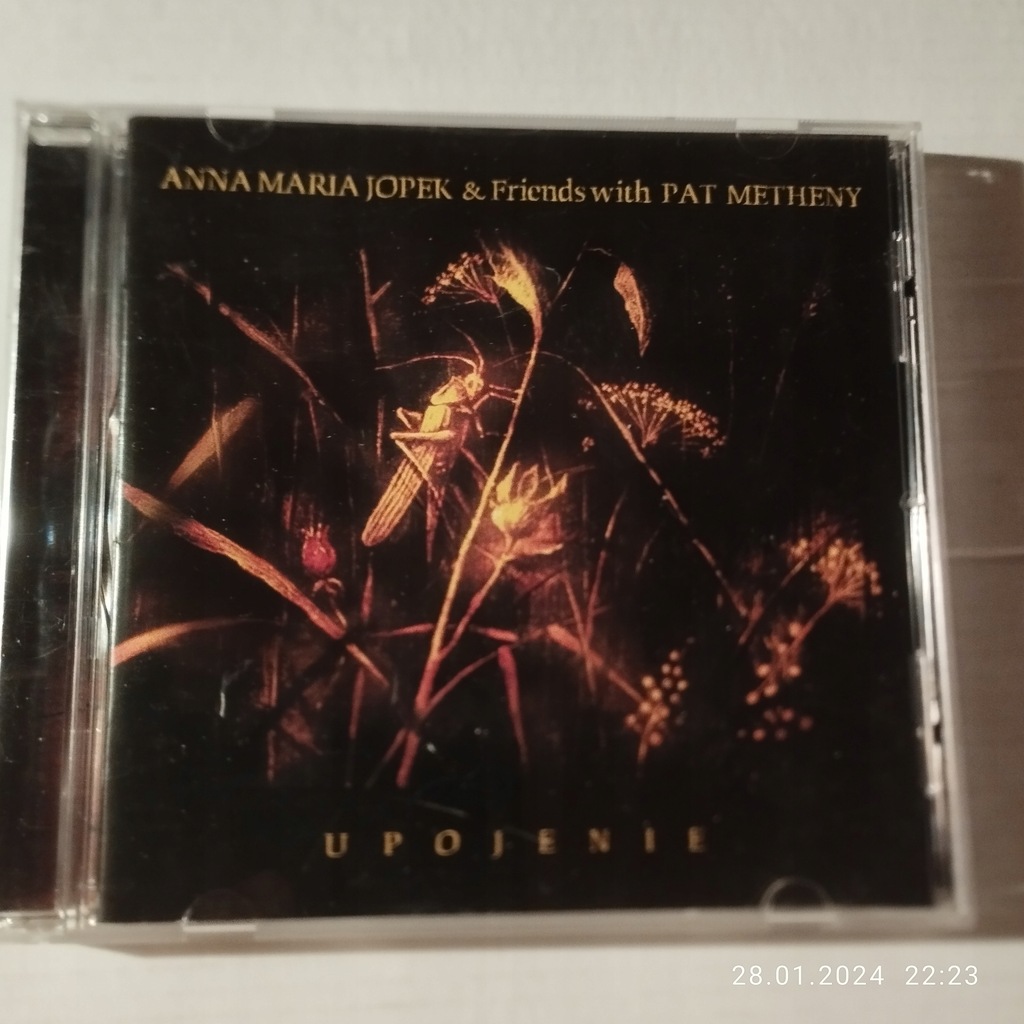 ANNA MARIA JOPEK&PAT METHENY - UPOJENIE.PLYTA CD.