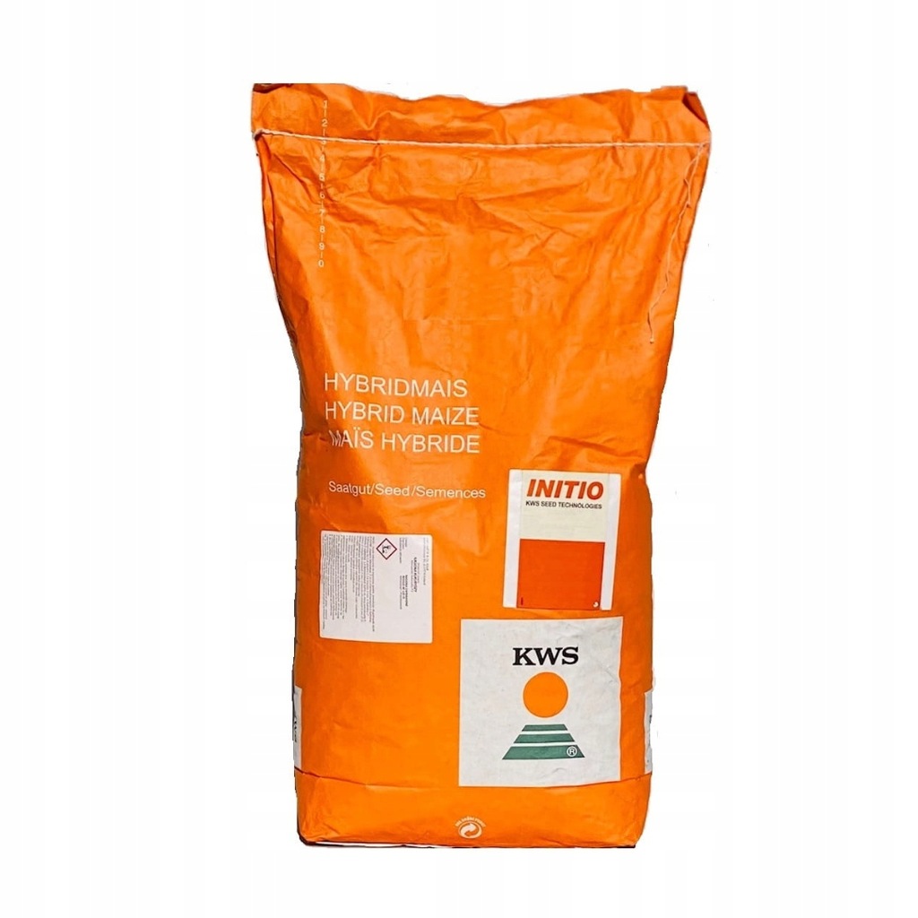 KUKURYDZA KWS ALMONDO Z230/K230 - 50tys. nasion Przedsprzedaż