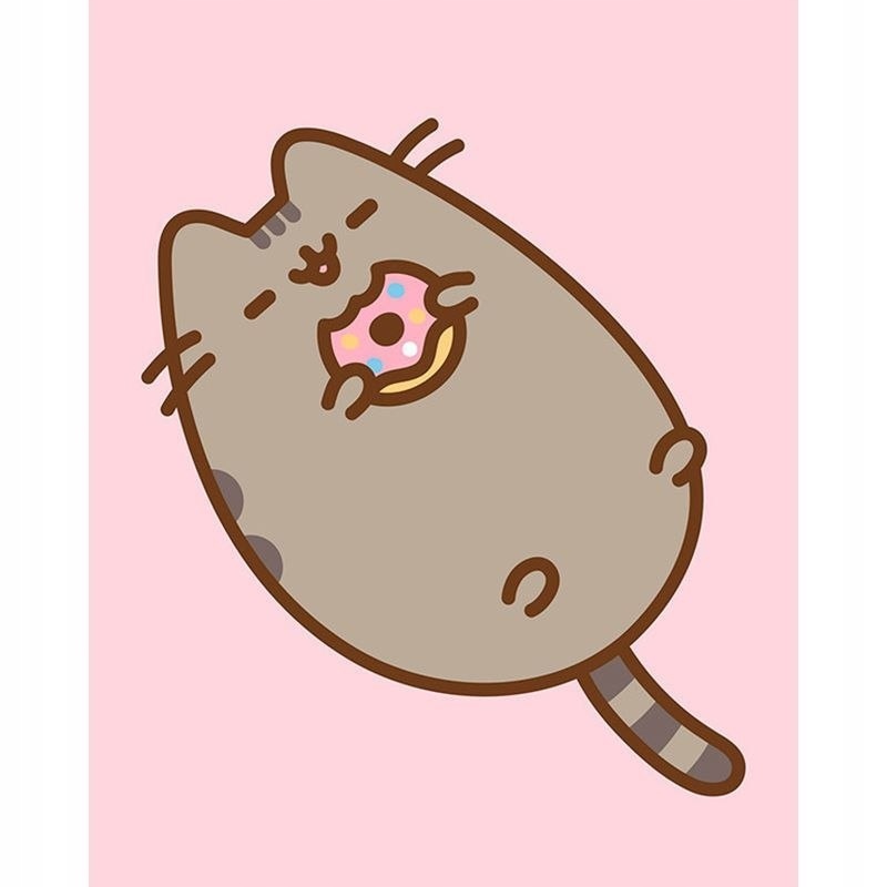 Pusheen - Obraz z nadrukiem cyfrowym (Pusheen z pą