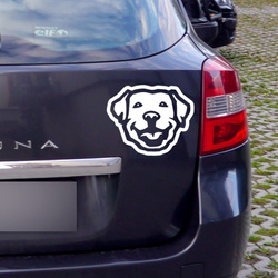 Naklejka na samochód Pies Labrador Psiakrew na ciemne karoserie 15cm