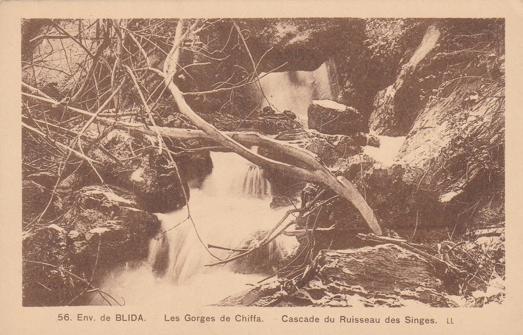 647.Algieria Blida,Widok na Wodospad