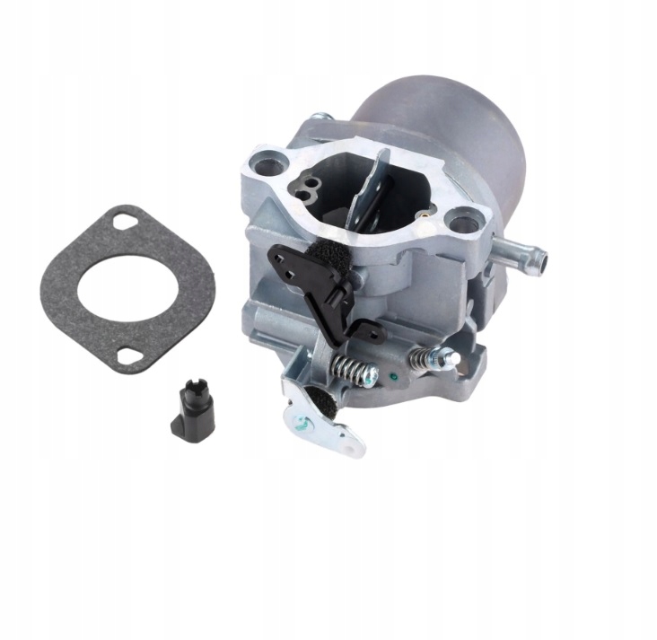 CARBURATEUR POUR BRIGGS & Stratton 799728 Replaces Carb 498231 499161 - Foto 7