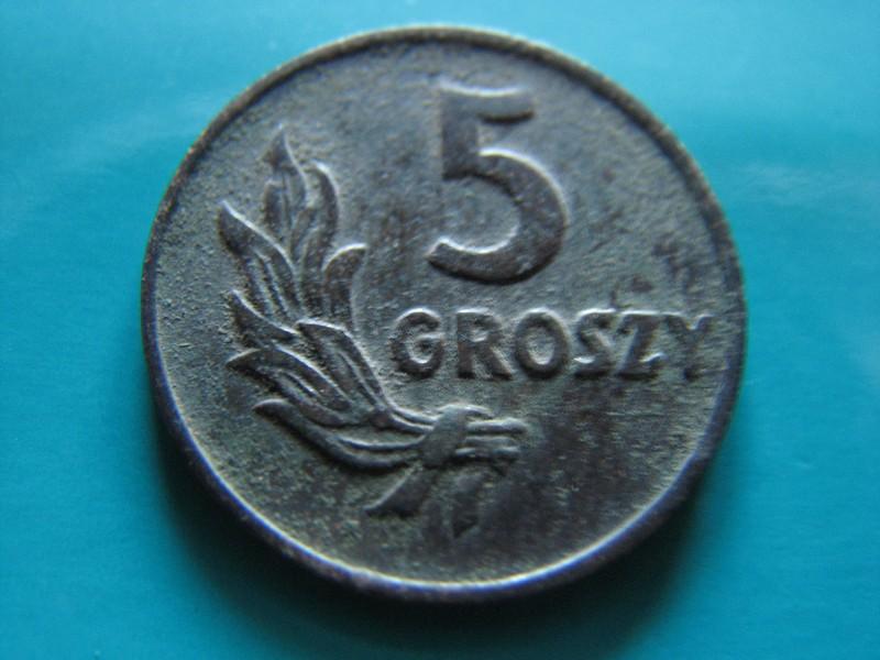 5 GROSZY 1949 BRĄZ - WOŚP356