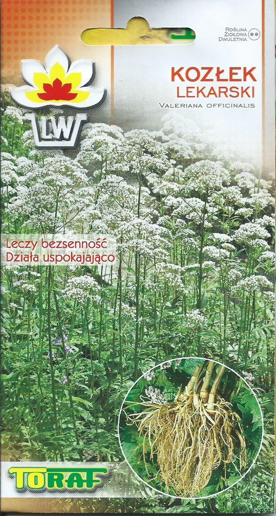 KOZŁEK LEKARSKI waleriana na uspokojenie 0,2g