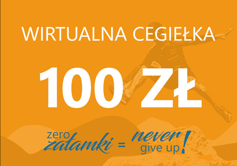 Zero Załamki Never give up Żyliński cegiełka 100zł