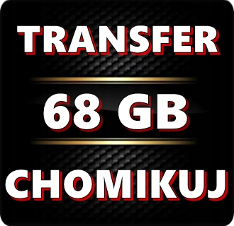 TRANSFER CHOMIKUJ 68 GB / 350 TYS PKT BEZTERMINOWO - PROMOCJA