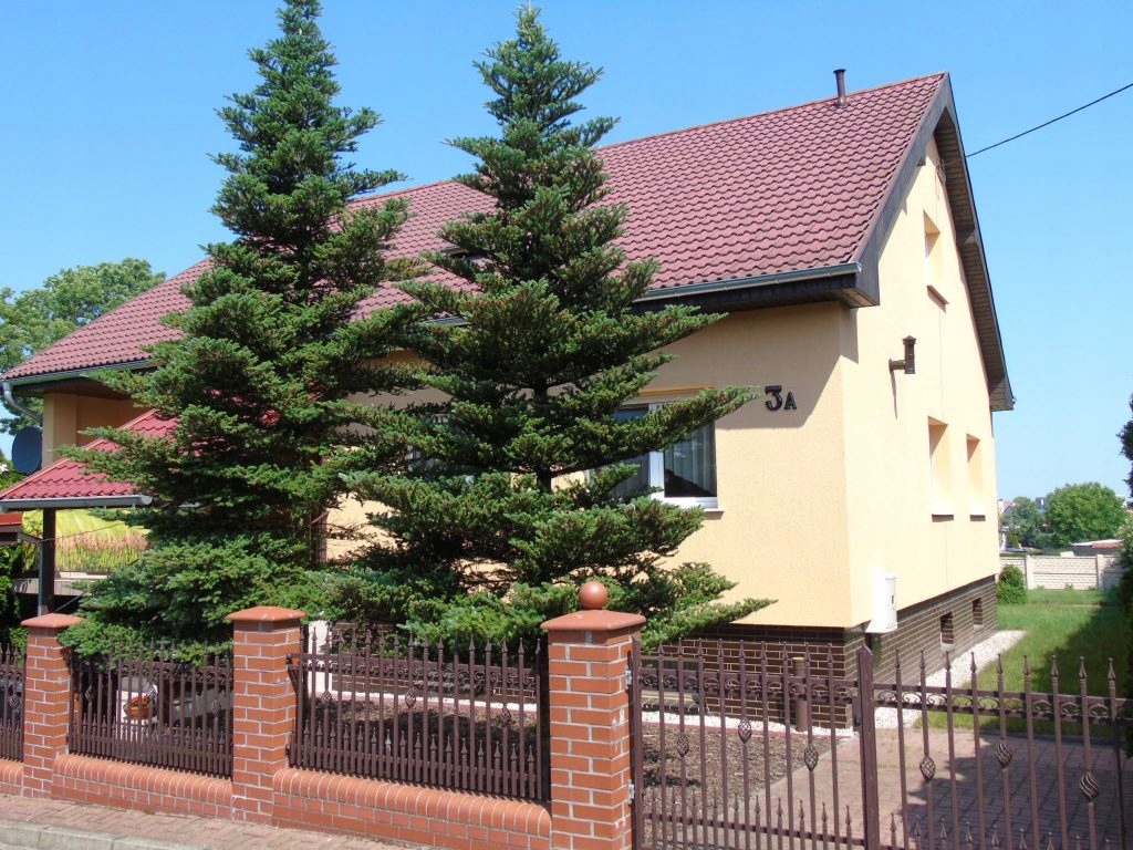 Dom, Pełczyce, Pełczyce (gm.), 270 m²