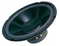 G1001-4 Głośnik 10" DBS-G1001 4 Ohm