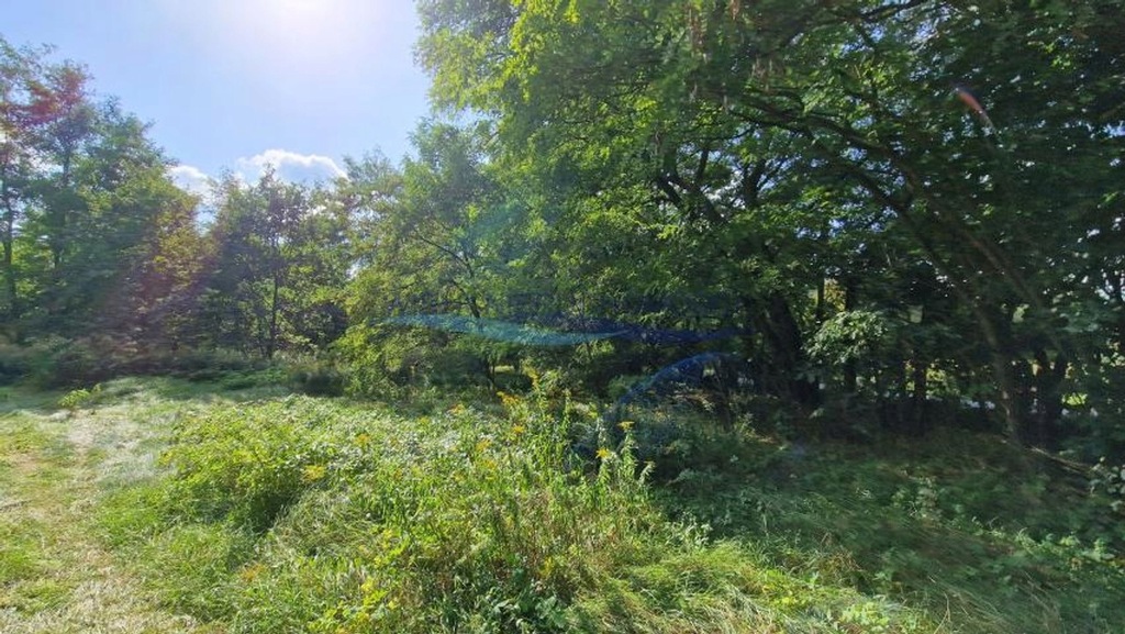 Działka, Książenice, Grodzisk Mazowiecki, Grodziski, 1511 m²