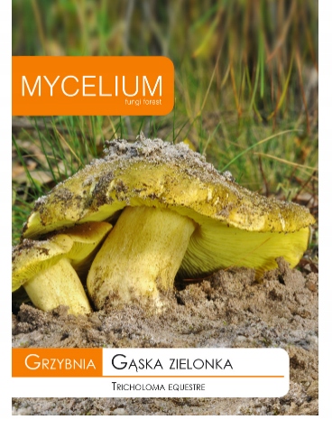 Grzybnia Gąska zielona zielonka 10g