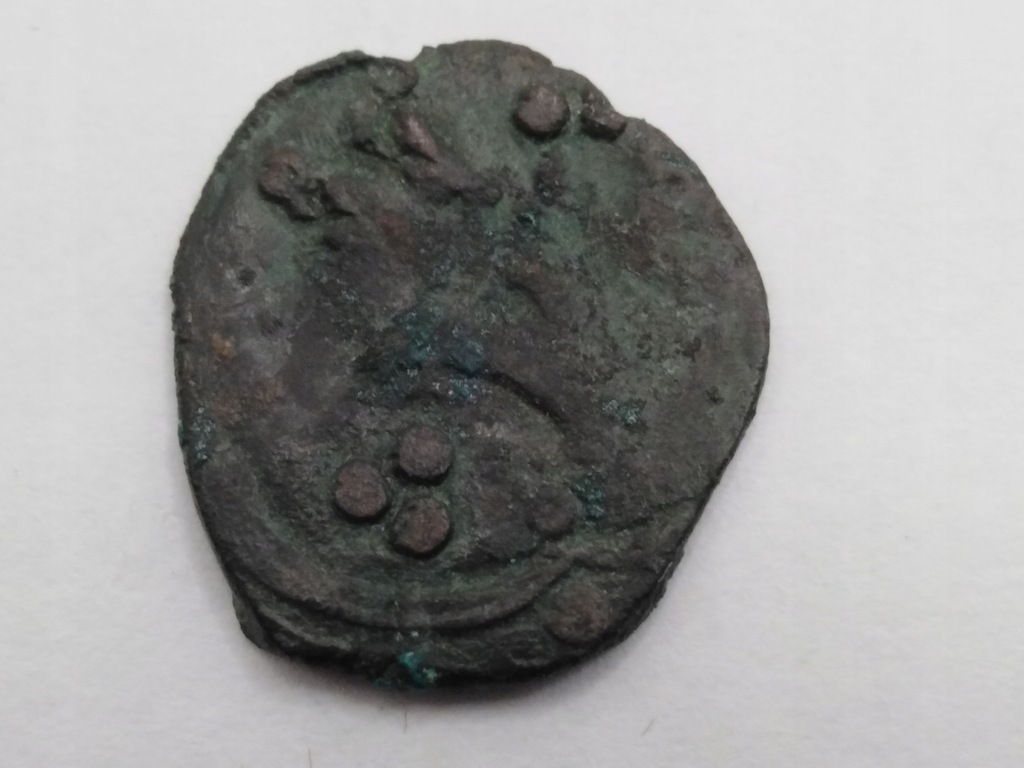 Moneta puło 1360-1370 Ruś Halicka Kazimierz Wielki