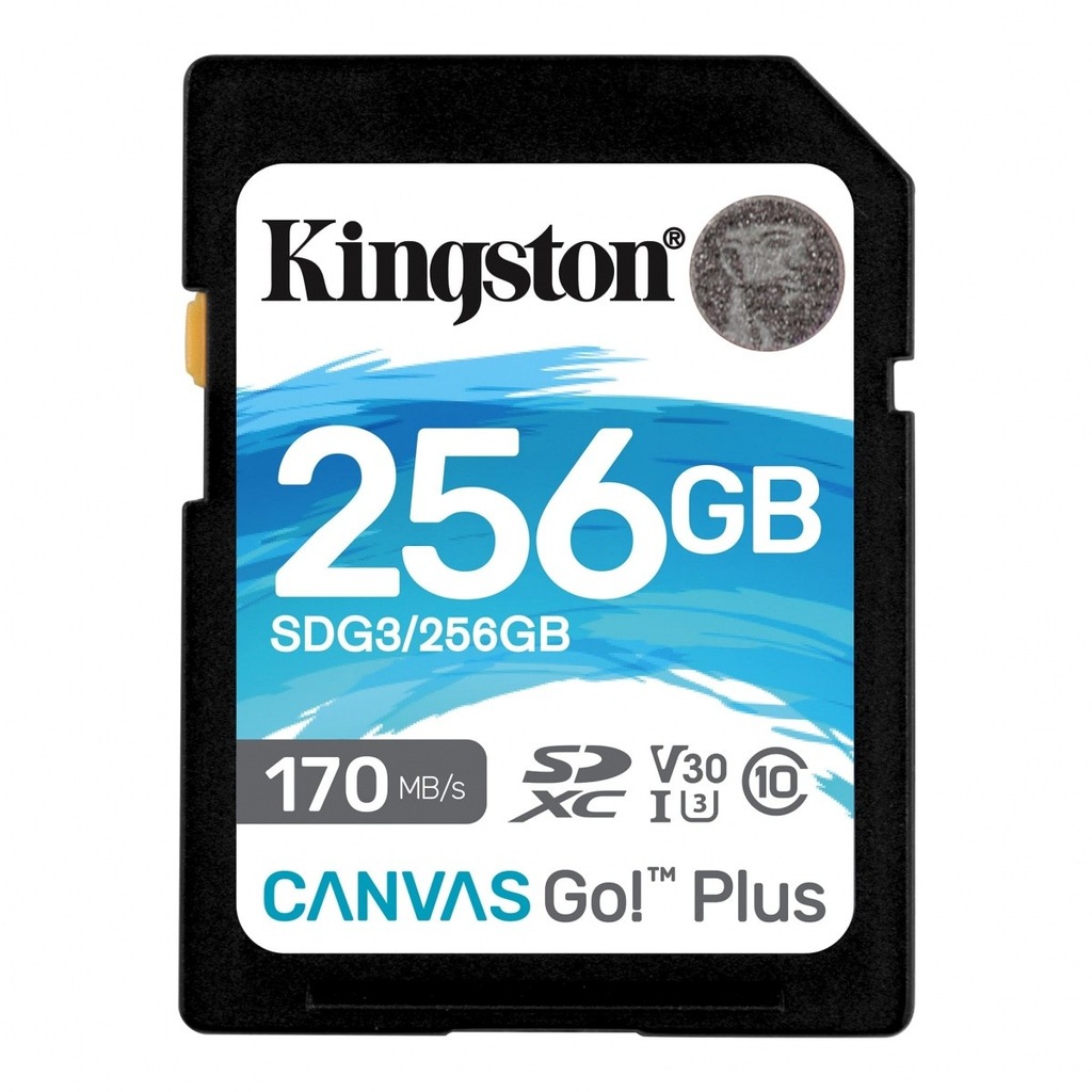 Kingston Karta pamięci Sd 256GB Canvas Go Plus