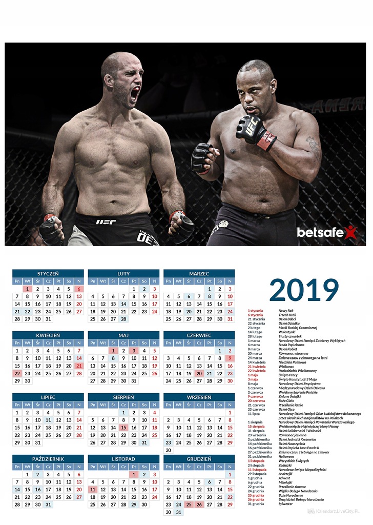 Kalendarz 2019 MMA Daniel Cormier