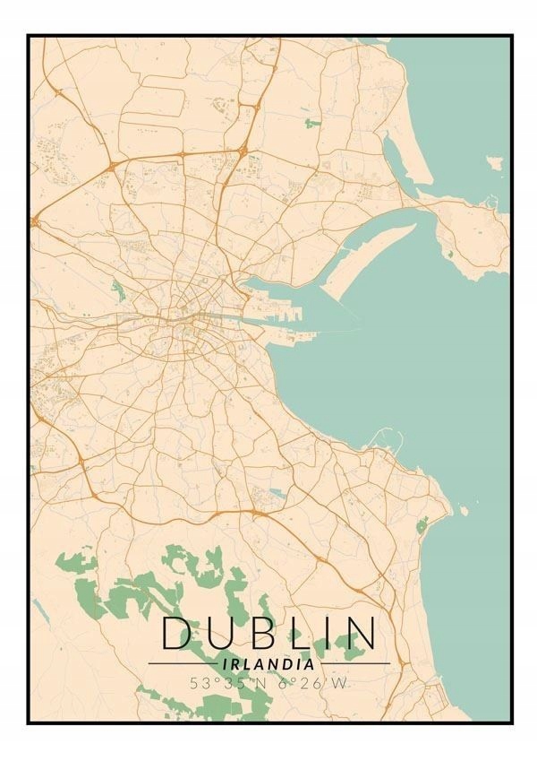 Dublin mapa kolorowa - plakat